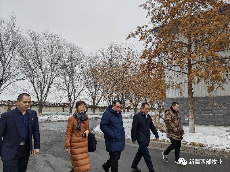 孫建新赴新疆西部牧業(yè)股份有限公司檢查調研